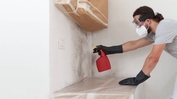 Professional Crawl Space Mold Removal technician working in Chelsea, MA