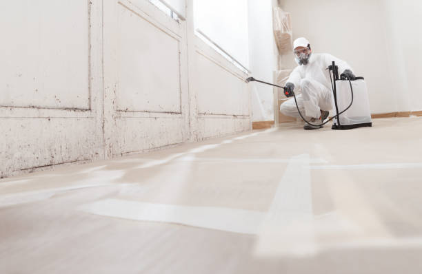 24/7 Emergency Crawl Space Mold Removal experts in Chelsea, MA